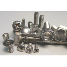 Stainless Stee304 Screw/Ss 304 Hexagon Head Bolt